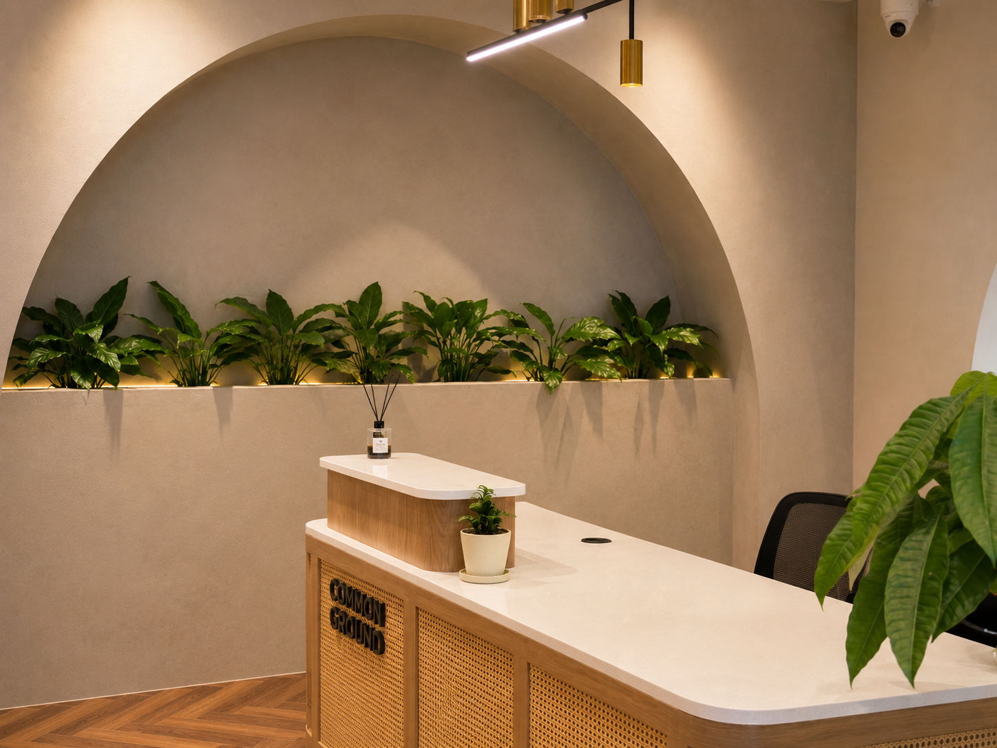 Common Ground — Don Antonio workspace view 6